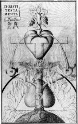 Devil's Advocate Testamentis