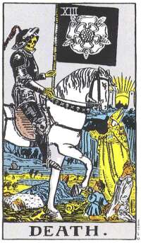 Trump Card 13