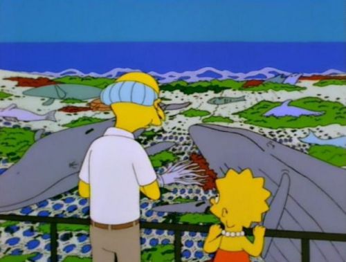 mr burns drift net